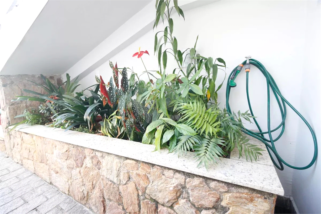 Incrível sobrado a apenas 13 minutos andando para o metrô Parada Inglesa!