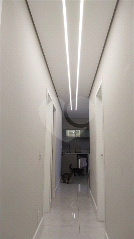 Apartamento Residencial TATUAPÉ