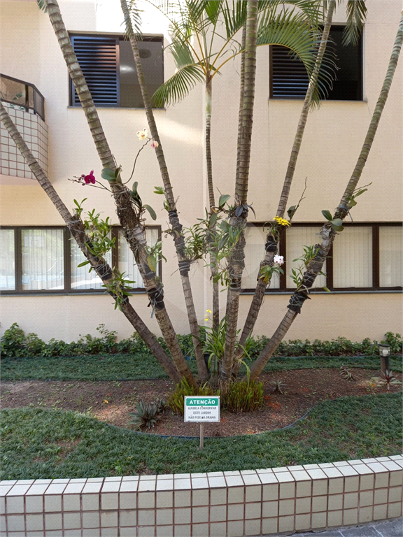 Apartamento à venda com 3 dormitórios, 2 vagas no Tucuruvi – conforto e lazer em rua tranquila e arborizada