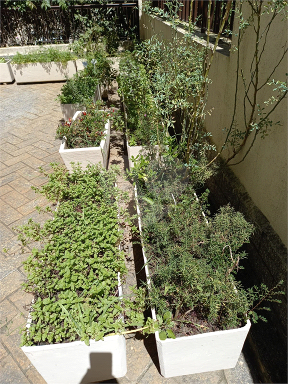 Apartamento à venda com 3 dormitórios, 2 vagas no Tucuruvi – conforto e lazer em rua tranquila e arborizada