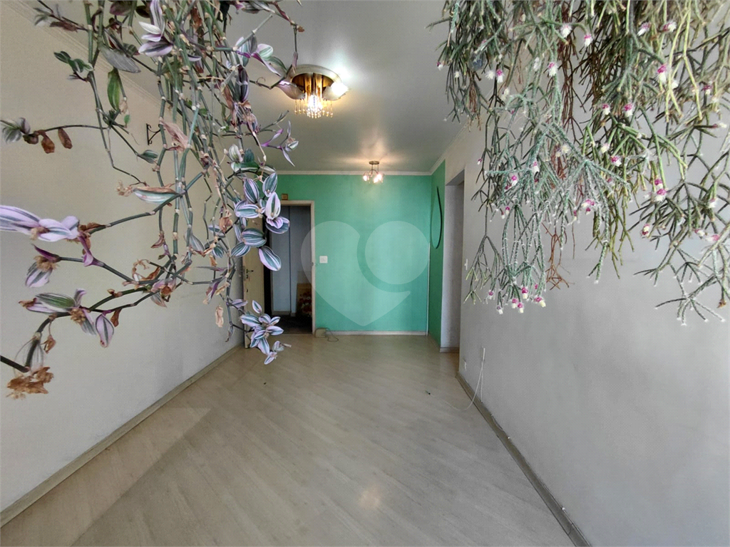 Imóvel de 85m² com muito potencial de reforma 3 quartos sala cozinha e lavanderia Vila Romana