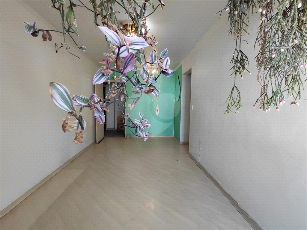 Imóvel de 85m² com muito potencial de reforma 3 quartos sala cozinha e lavanderia Vila Romana