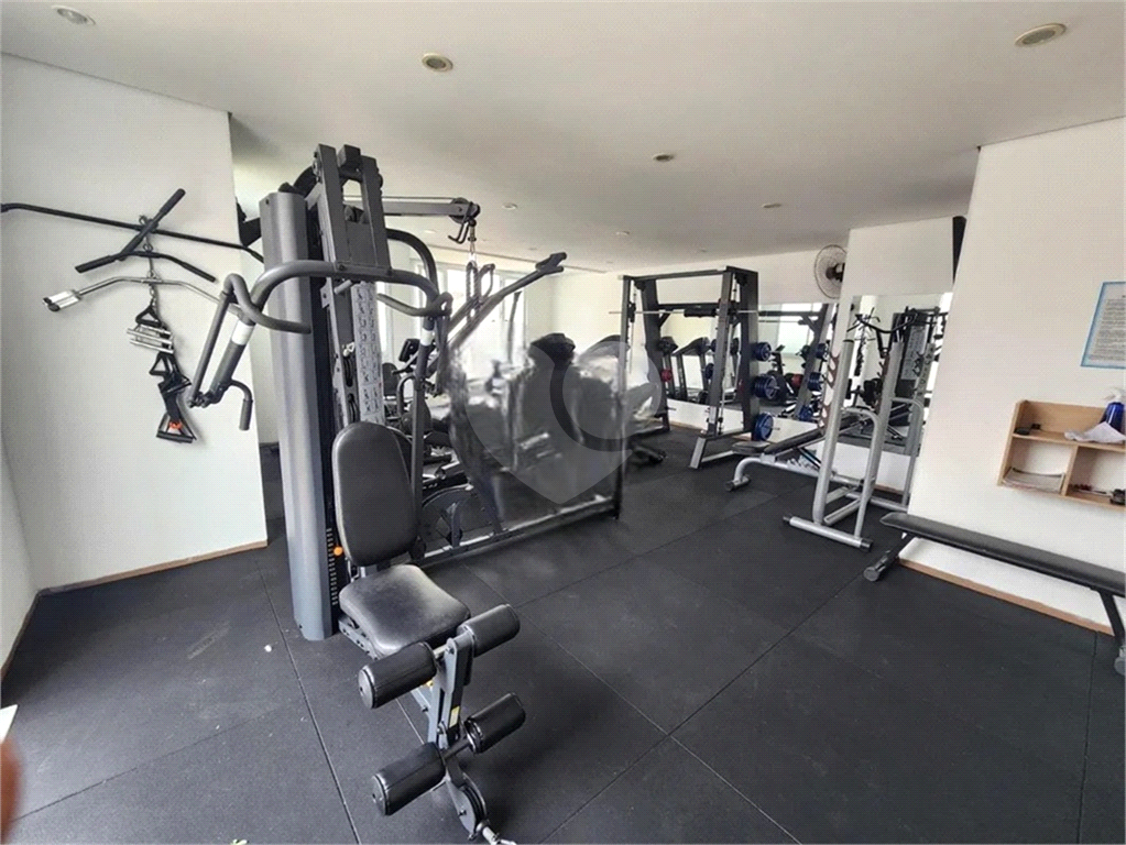 Apartamento de Alto Padrão na Parada Inglesa – 3 Dormitórios (1 Suíte) – Varanda Gourmet e Vista Incrível