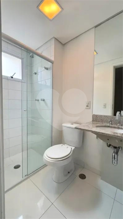 Apartamento para alugar na Rua Maria Curupaiti