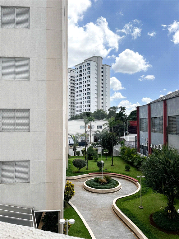 APARTAMENTO em CASA VERDE