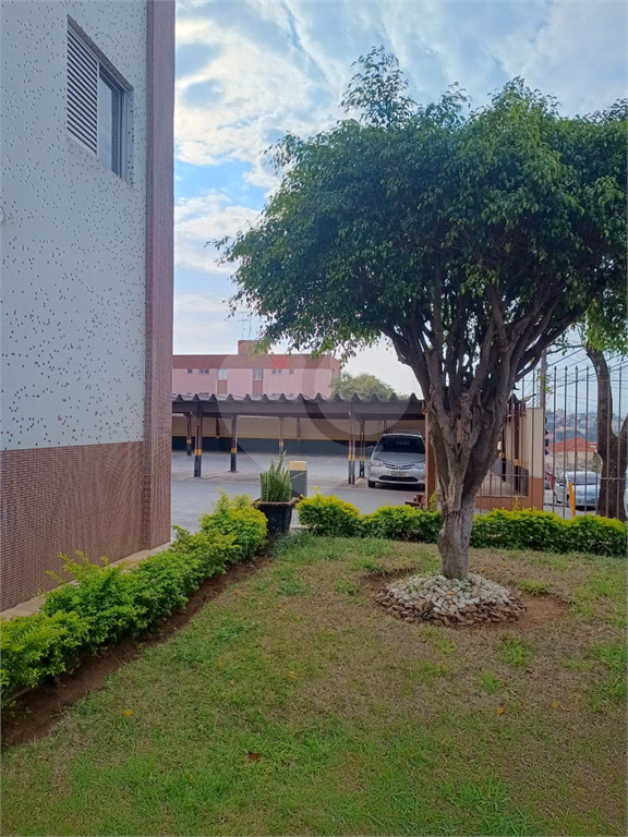 APARTAMENTO em BUTANTÃ