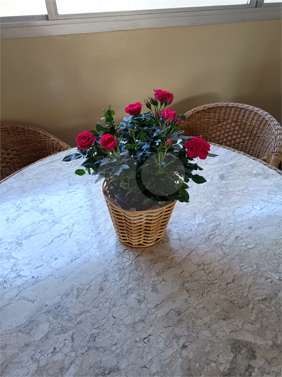 APARTAMENTO em BUTANTÃ