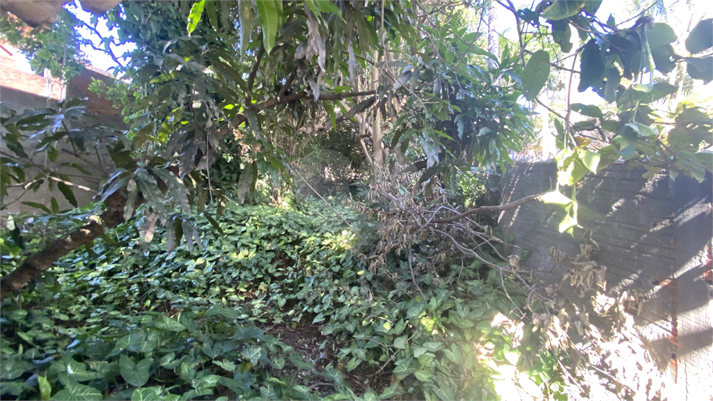 TERRENO À VENDA – VILA AURORA – ZONA NORTE DE SÃO PAULO – EXCELENTE PARA CONSTRUÇÃO