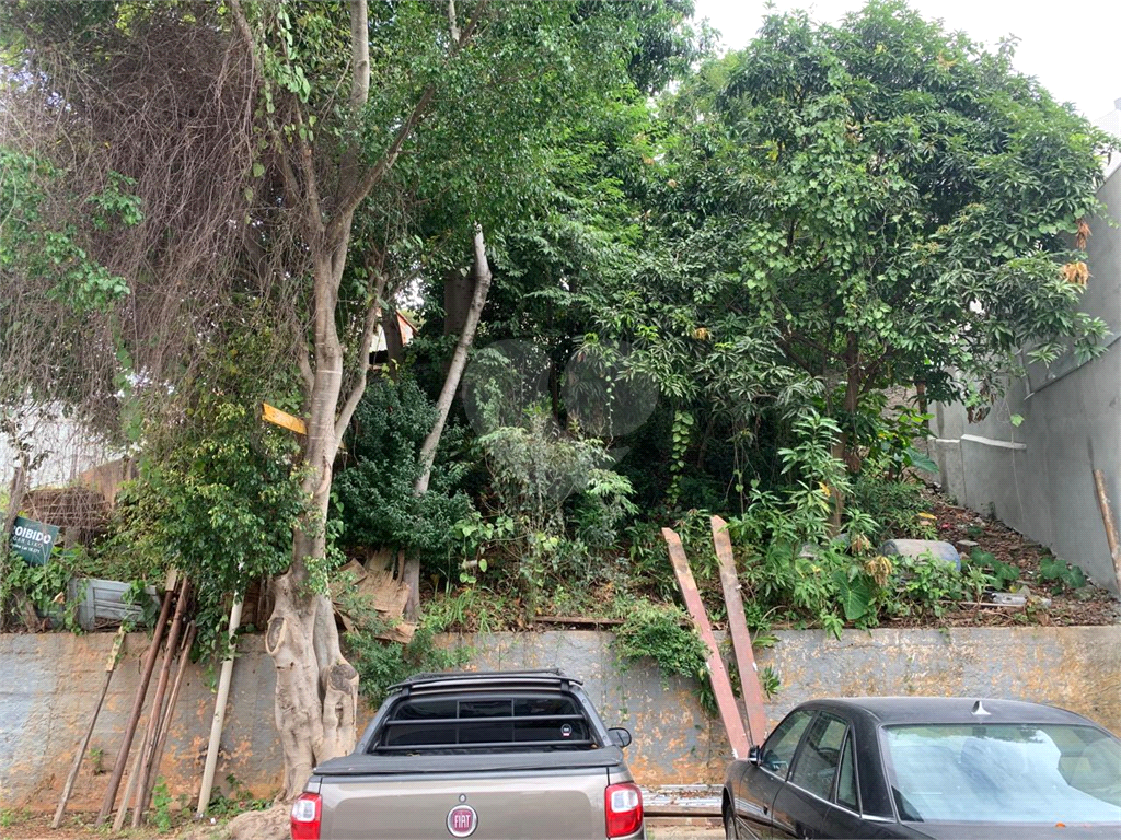Terreno à venda | 1.100 m² | Parque Mandaqui | São Paulo/SP 