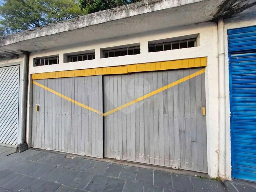 Apartamento com 3 dormitórios 