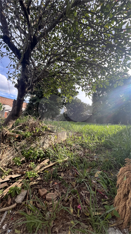 Terreno, 820 m² - Foto 8