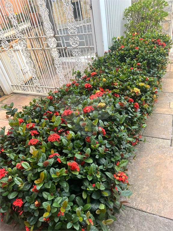 Sobrado Espaçoso e Decorado nas Palmas do Tremembé – 316m², Suíte com Varanda e 3 Vagas