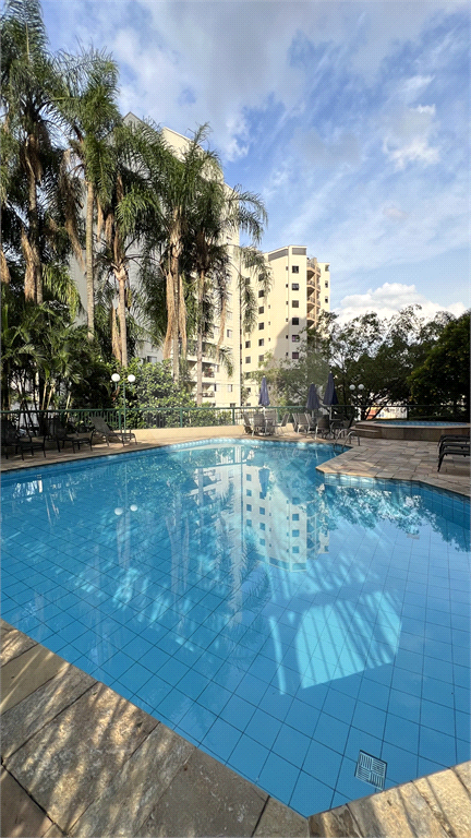 Apartamento Mandaqui 3 dormitorios, 1 suite e 2 vagas