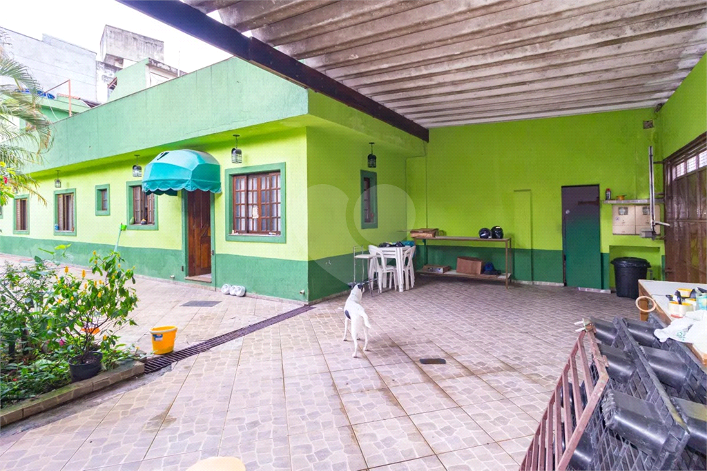 Casa no Belém/Catumbi