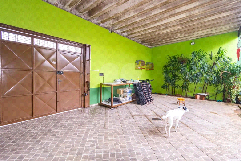 Casa no Belém/Catumbi