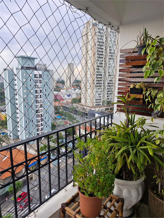 apartamento residencial vila ,mascote