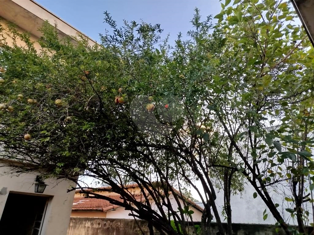 SOBRADO AMPLO NO JARDIM PRIMAVERA – ZONA NORTE
