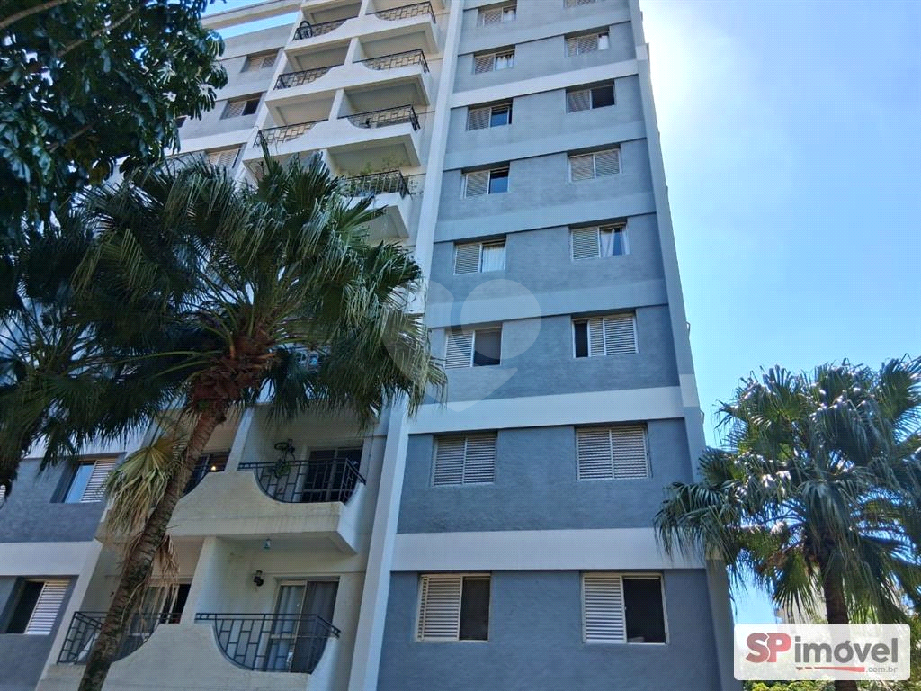 APARTAMENTO em SANTANA