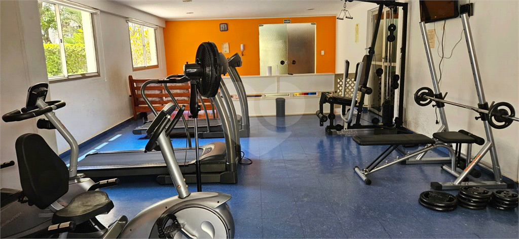 Apartamento - Pinheiros