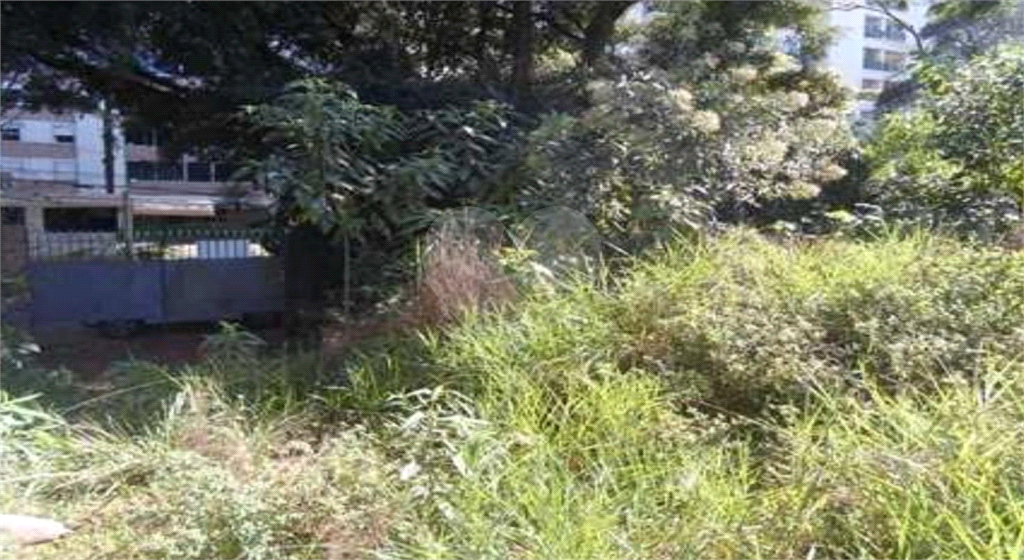 Terreno plano de 1.200m² no Alto da Boa Vista – excelente oportunidade para construção!