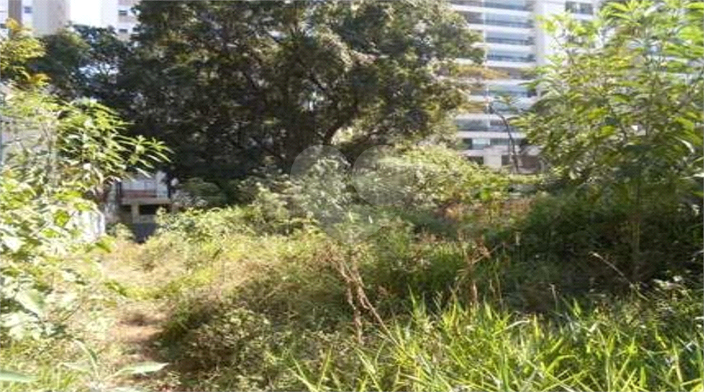 Terreno plano de 1.200m² no Alto da Boa Vista – excelente oportunidade para construção!