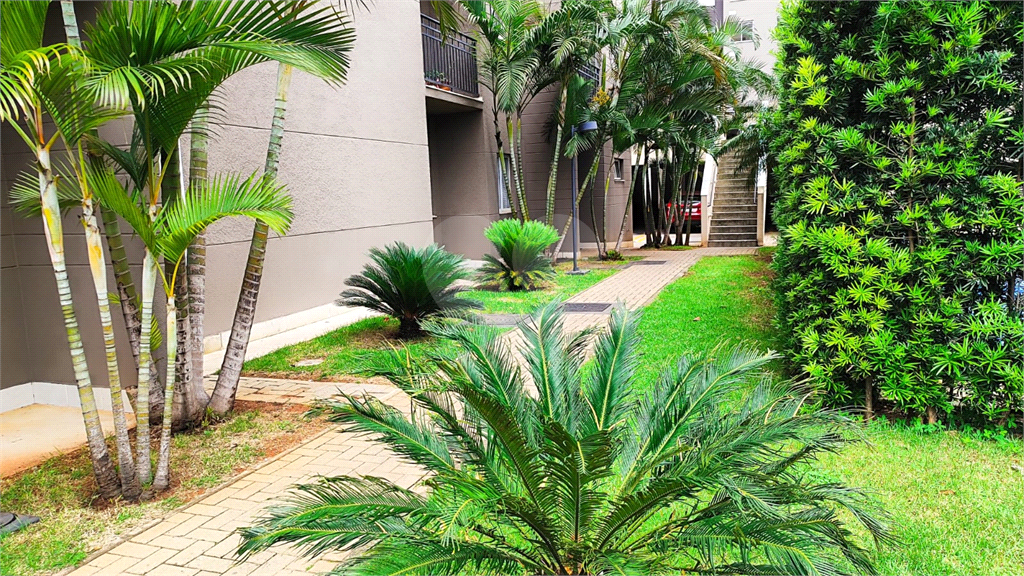 APARTAMENTO em MOOCA