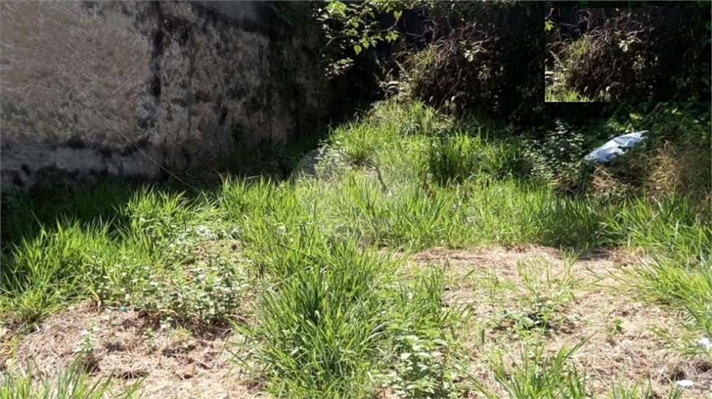 Casa Verde terreno com 526 m², sendo 12,57 m² de frente na Avenida Casa Verde em Local muito Bom