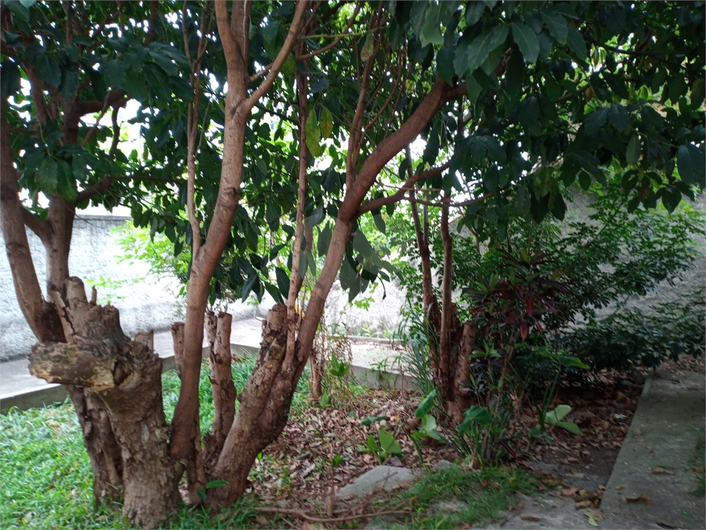 Casa com excelente terreno para venda na Vila Maria 