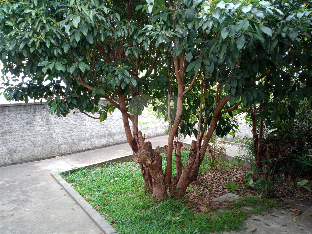 Casa com excelente terreno para venda na Vila Maria 