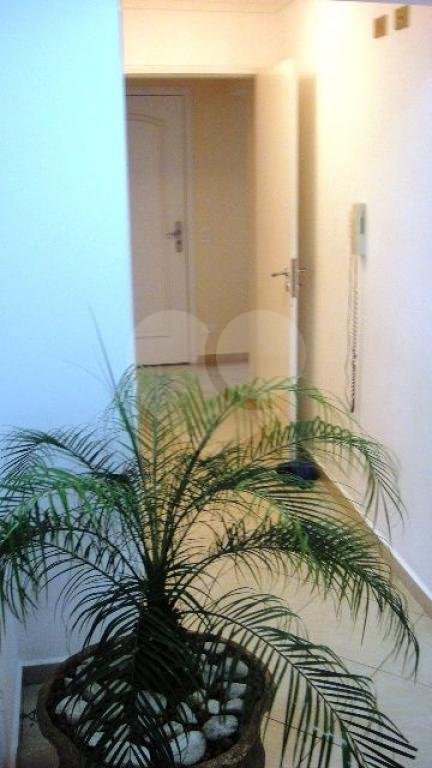 APARTAMENTO em VILA FORMOSA