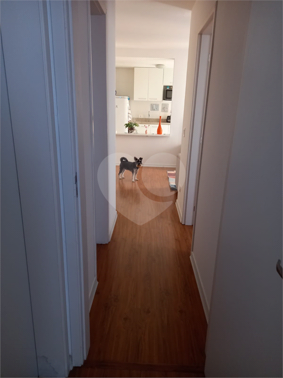 Apartamento para venda no Residencial Joy com 2 quartos na Vila Mazzei