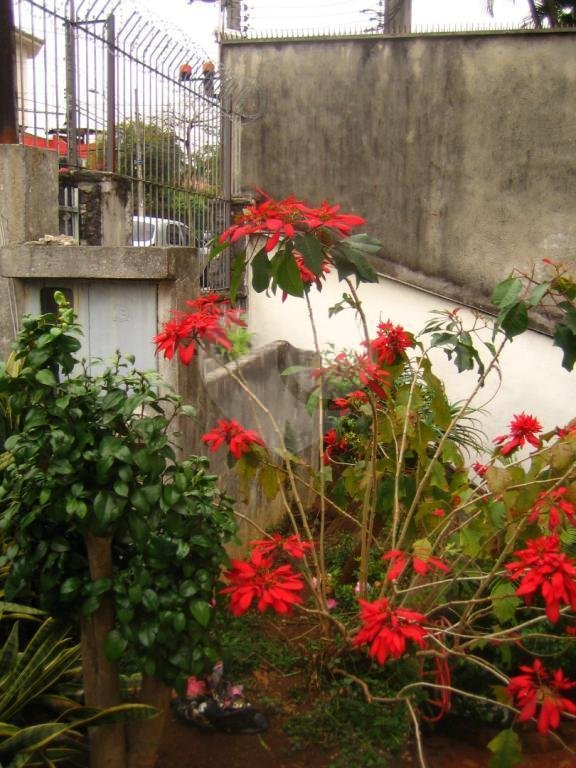 Sobrado com 5 Quartos para Venda na Casa Verde.