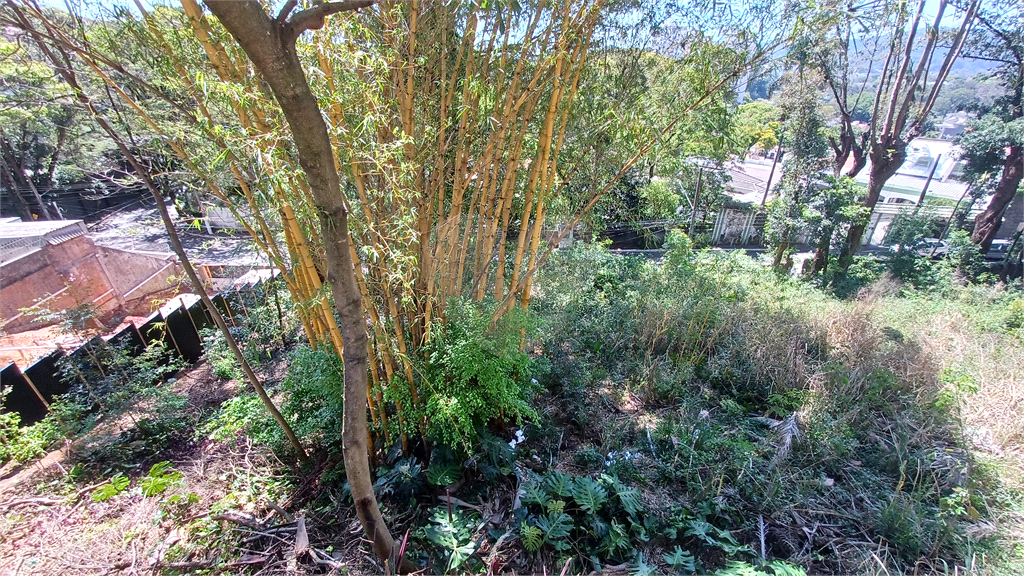 OPORTUNIDADE NO TUCURUVI – TERRENO  PARA CONDOMÍNIO DE ALTO PADRÃO