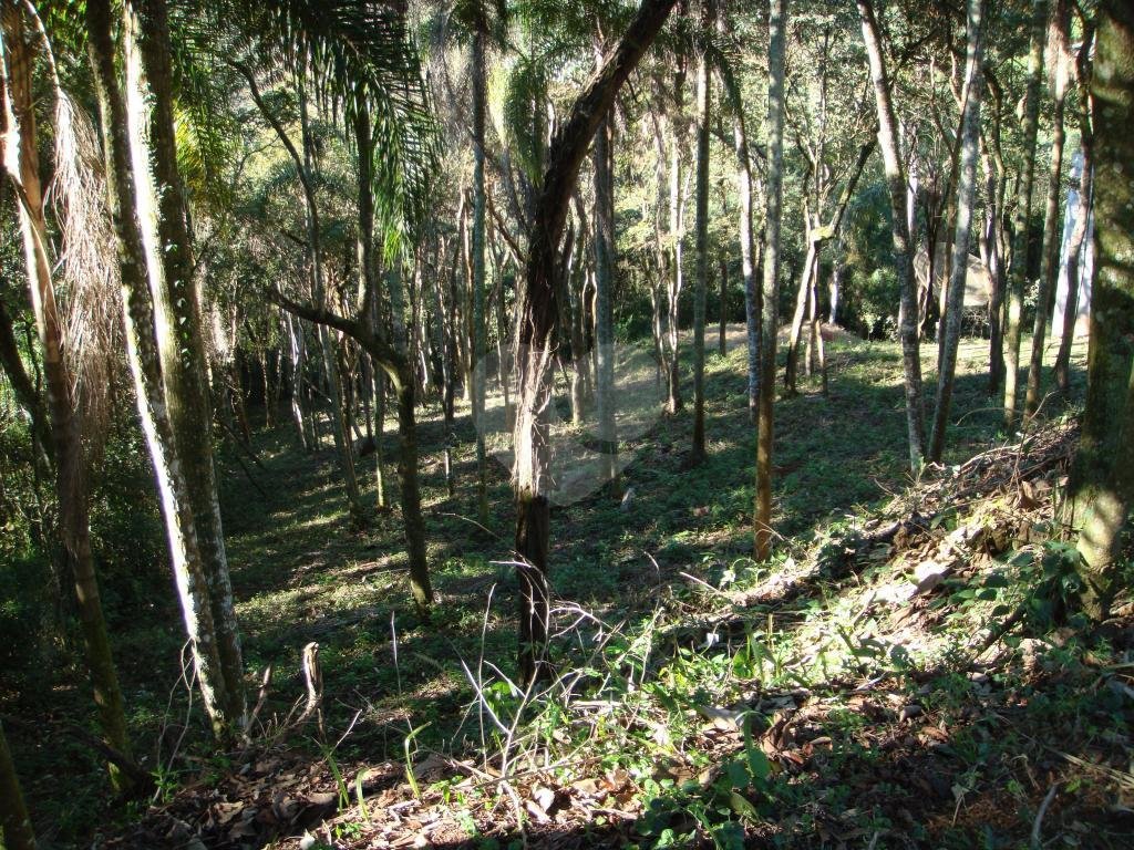 SOBRADO A VENDA NA SERRA DA CANTAREIRA - 2.176 M2 DE TERRENO E 920 M2 DE ÁREA ÚTIL