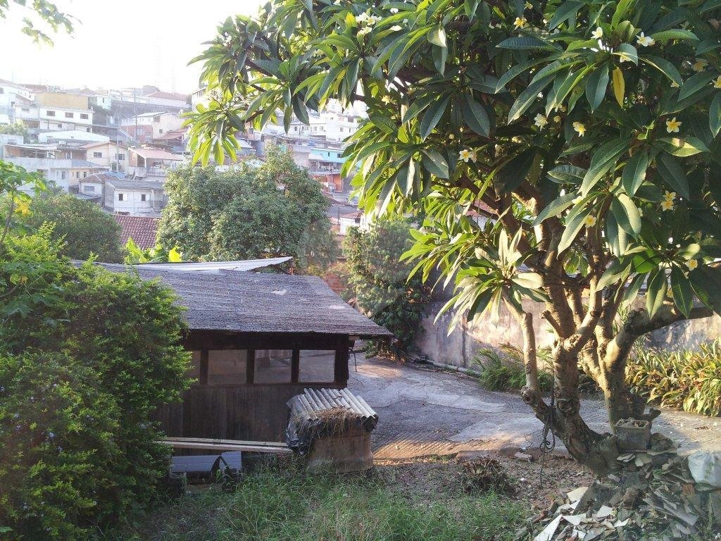 TERRENO área totalmente residencial - 1260m² - PARQUE MANDAQUI