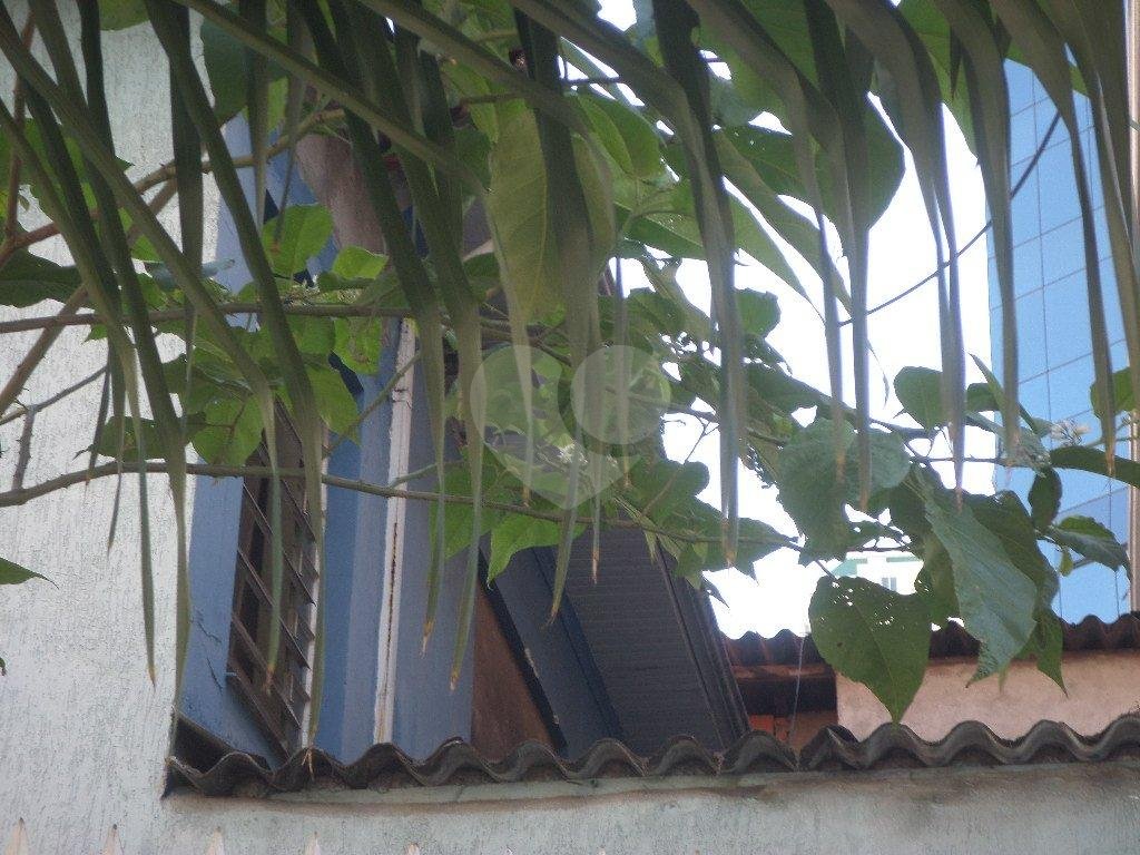 TERRENO em ÁGUA FRIA
