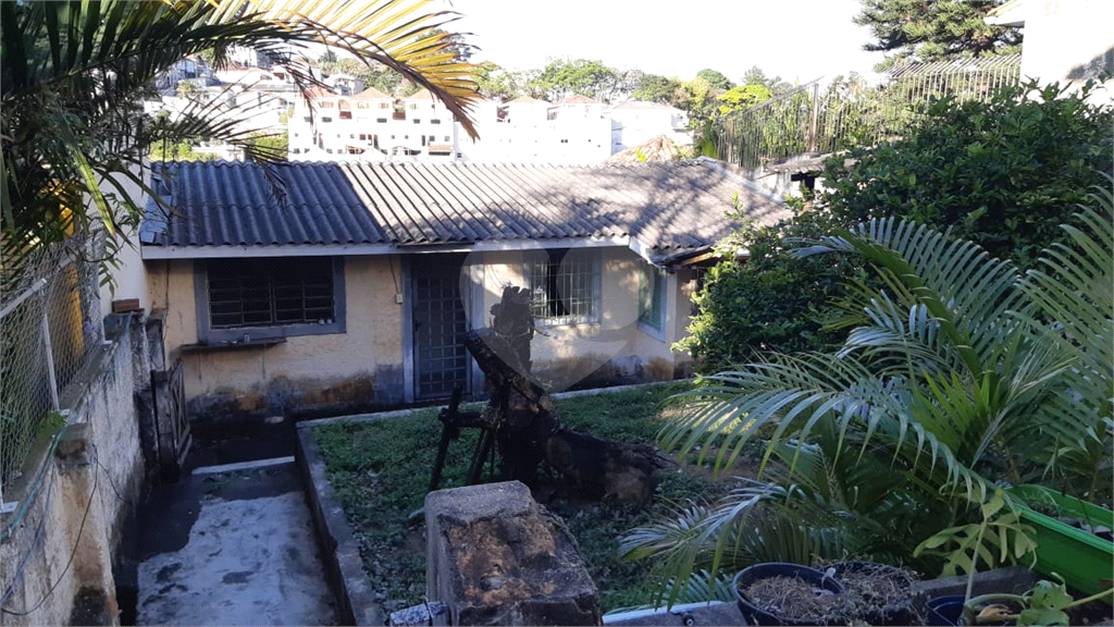 Terreno à venda com 3 quartos, 249m² - Foto 5