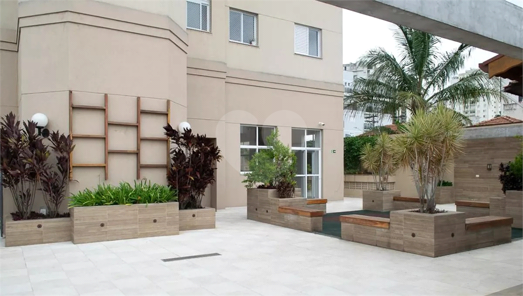 Apartamento para locação ou venda Jardim São Paulo
