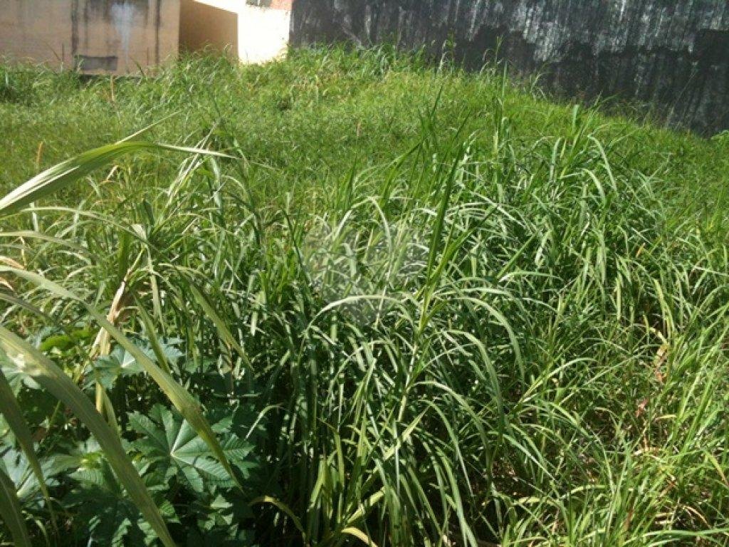 TERRENO A VENDA NO JARDIM GUAPIRA COM 360 M2 DE ÁREA
