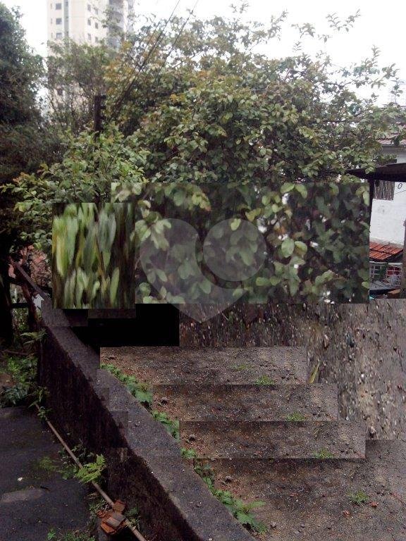 TERRENO EM SANTANA