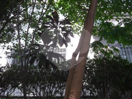 Terreno à venda em Santana, com sobrado antigo