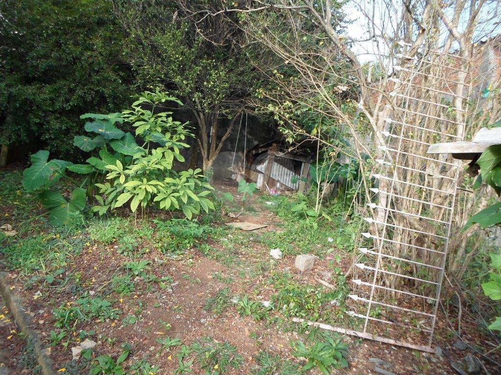 TERRENO em GUAIANAZES