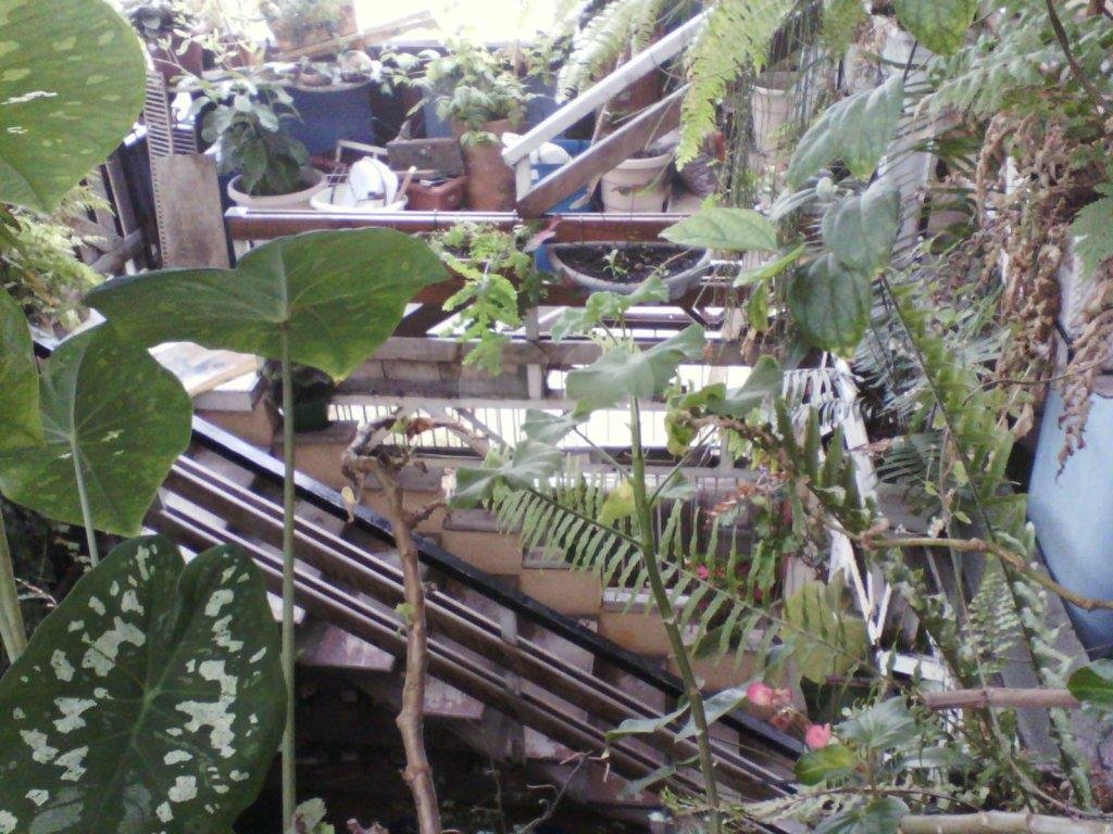 PRÉDIO COMERCIAL A VENDA NA ÁGUA FRIA - ÁREA ÚTIL 800M2 - ÁREA DO TERRENO 240 M2