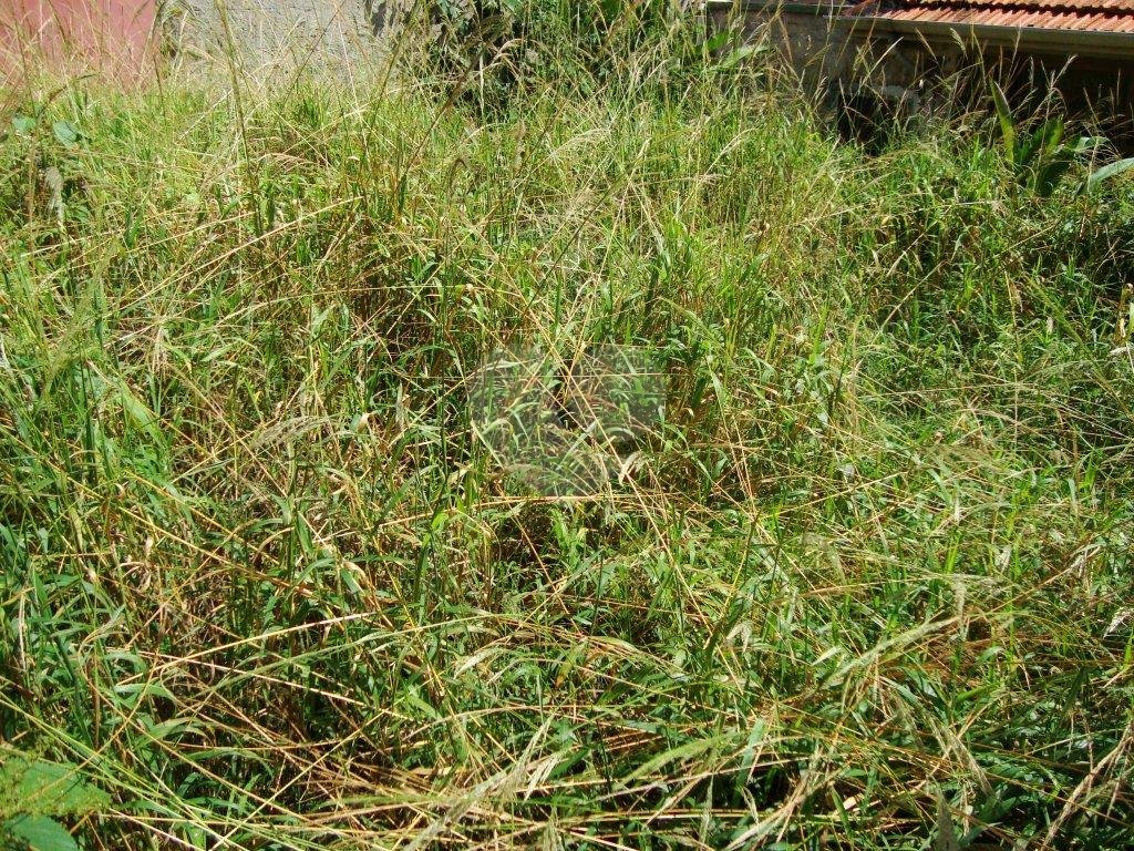 terreno com 385 metros