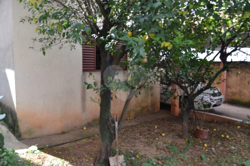 TERRENO PLANO COM ÓTIMA LOCALIZAÇÃO IDEAL PARA CONSTRUTOR
