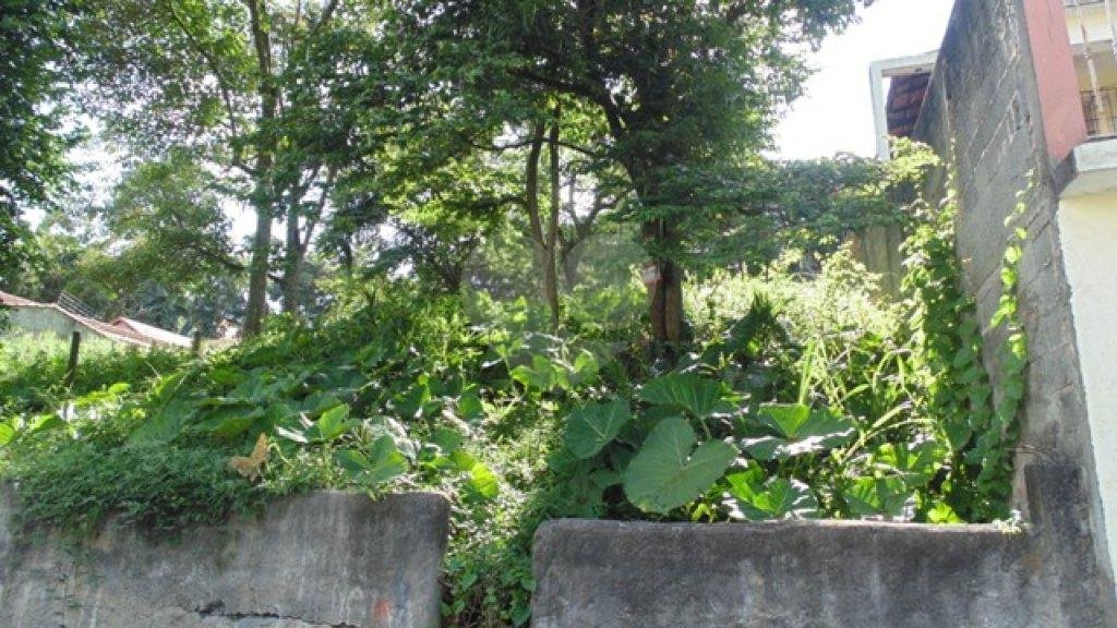 TERRENO em VILA IRMÃOS ARNONI