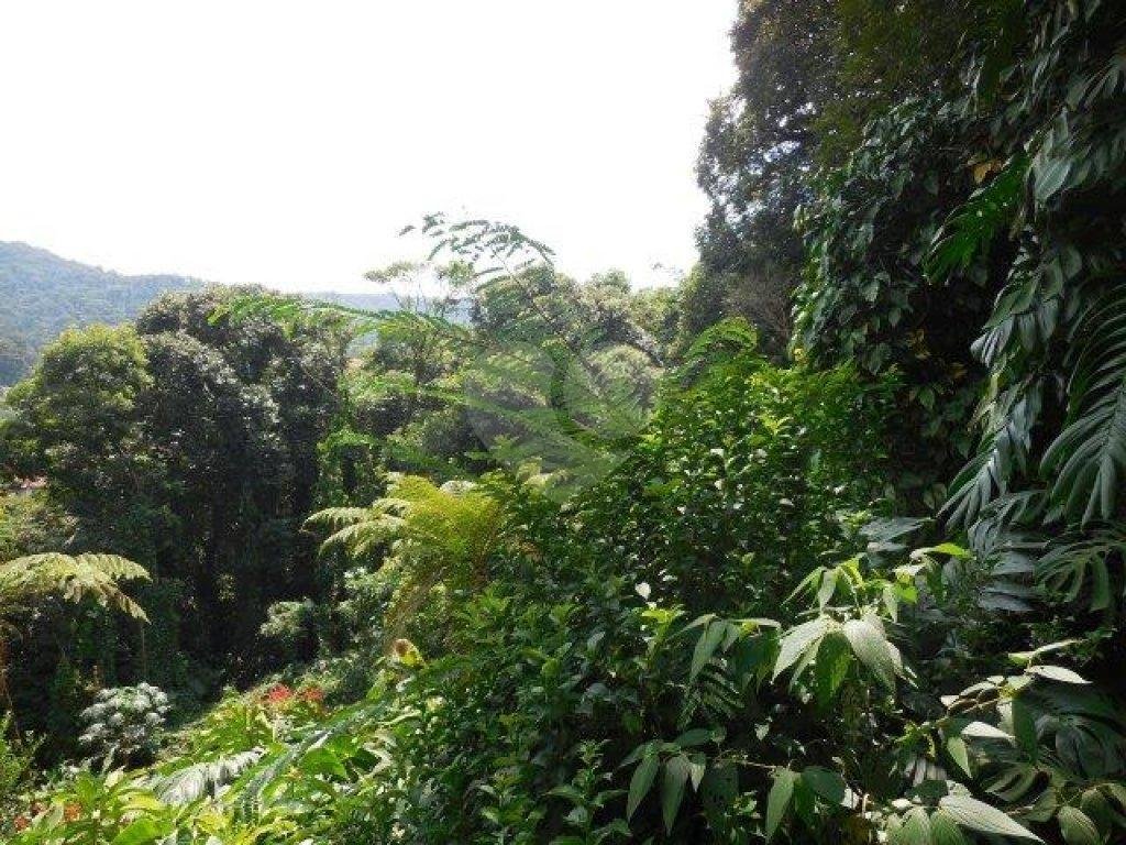 Casa de alto padrão no Horto  5.500 m²