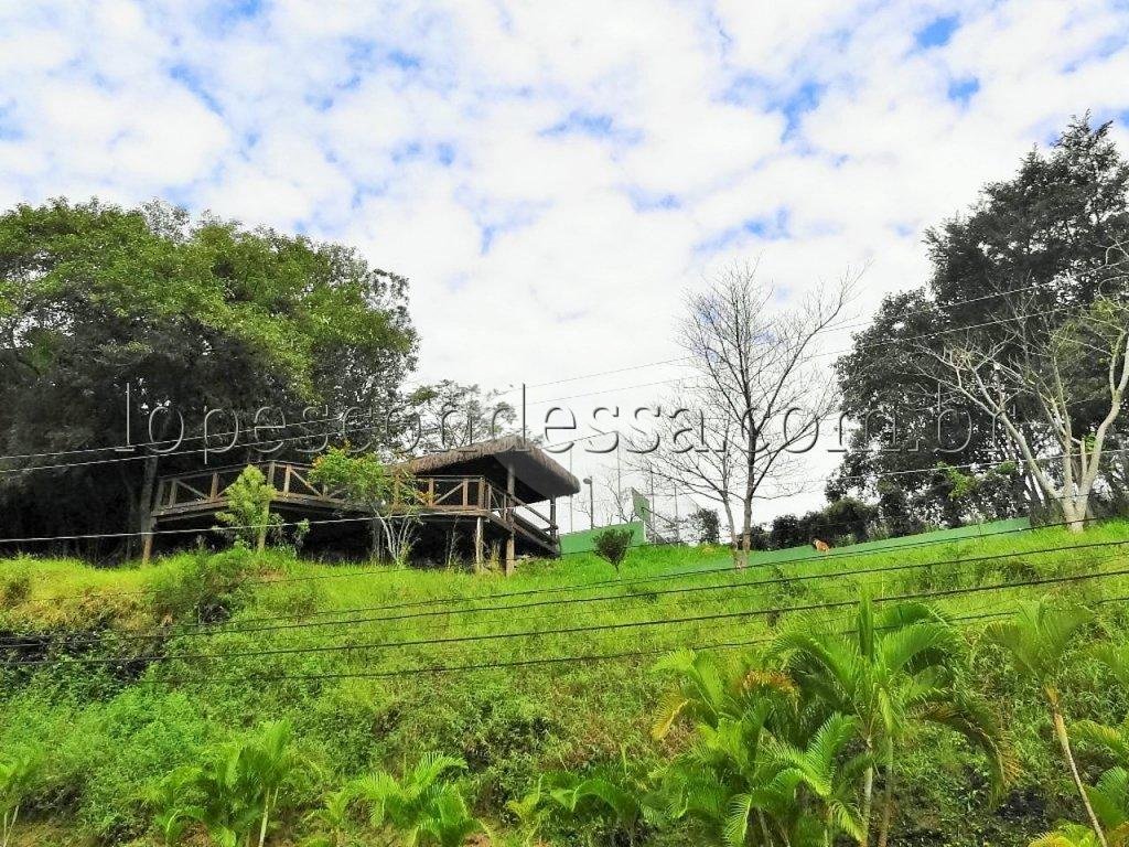 TERRENO em HORTO
