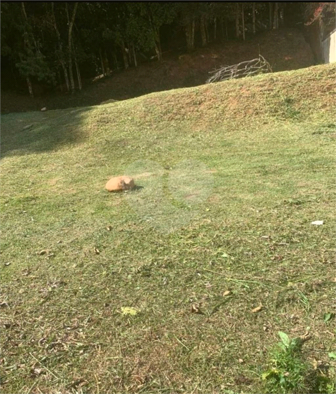 TERRENO em HORTO