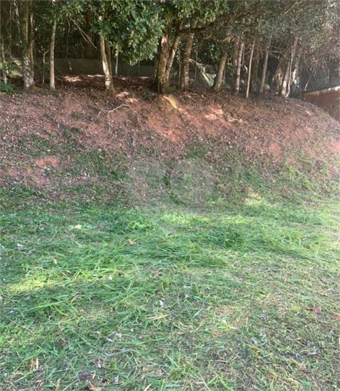 TERRENO em HORTO